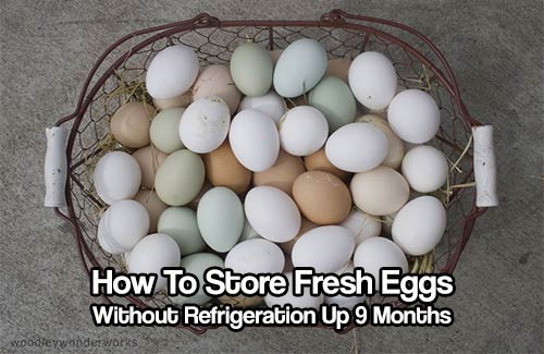 How To Safely Preserve Eggs for 9 months