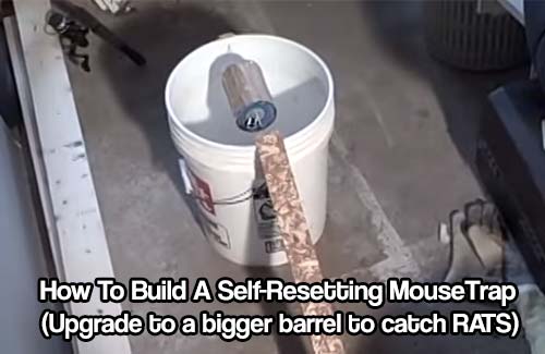 trap mouse how assemble to How To Mouse (Upgrade Resetting a A Trap Self Build to
