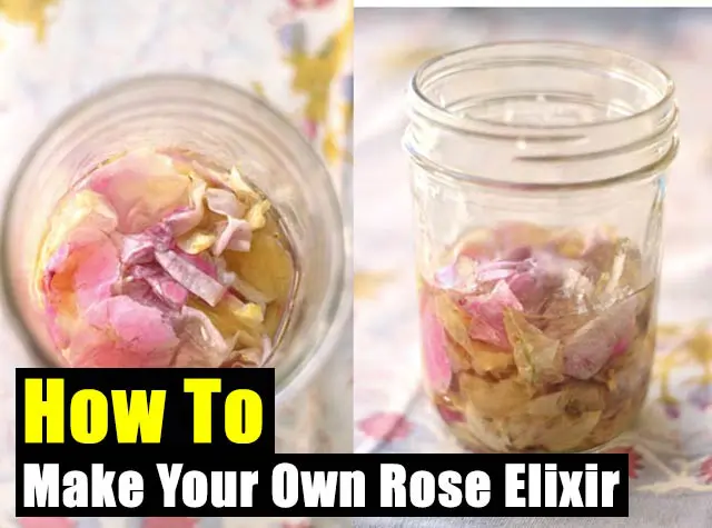 How To Make Your Own Rose Elixir