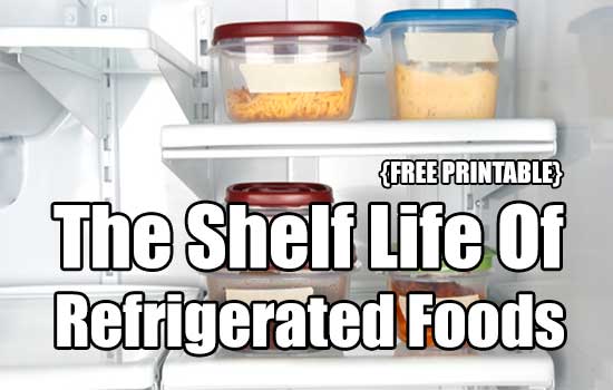 The Shelf Life Of Refrigerated Foods {FREE PRINTABLE} - SHTF &amp; Prepping ...