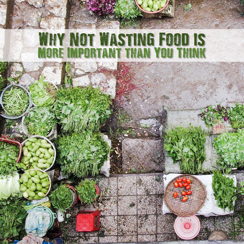 Why Not Wasting Food Is More Important Than You Think SHTF Prepping