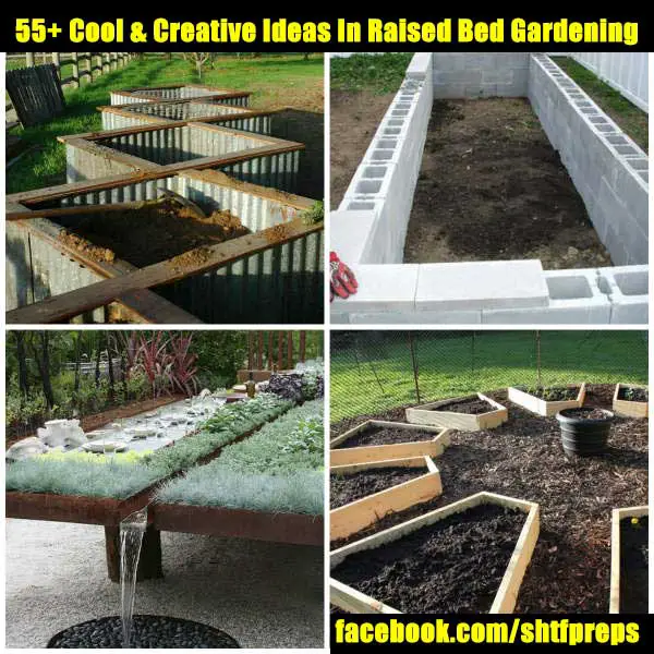 creative raised garden bed ideas success