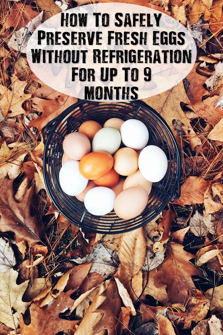 Old Fashioned Egg Preservation 8 Months Later - No ...
