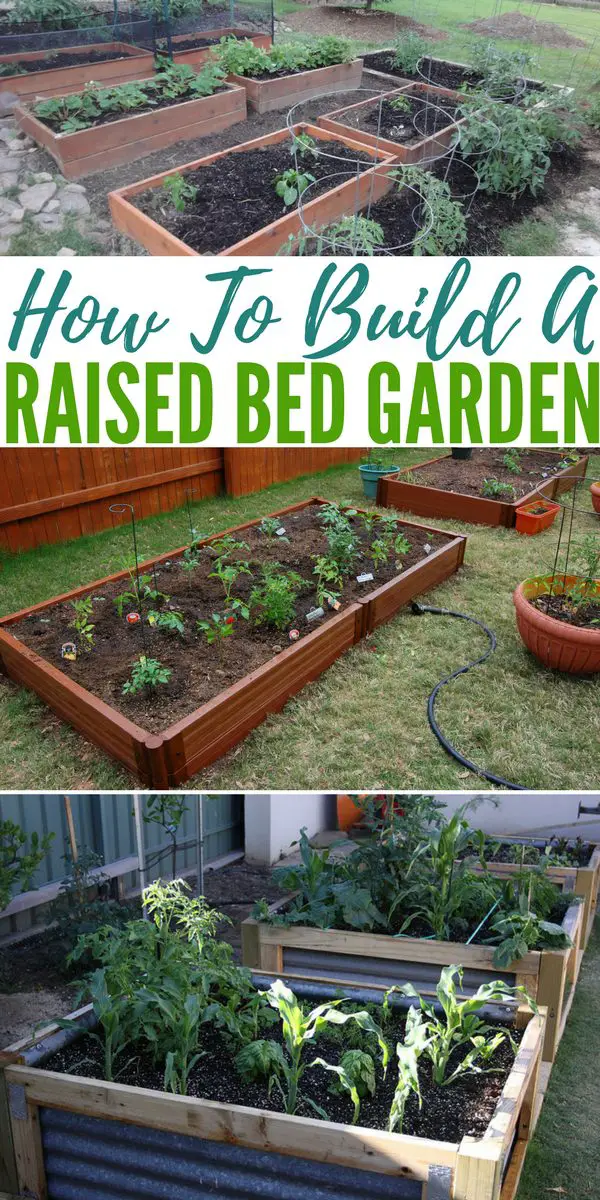 How To Build A Raised Bed Garden