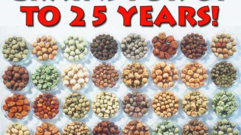 The Survival Guide To Long Term Food Storage