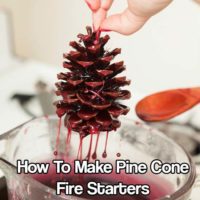 How To Make Pine Cone Fire Starters - This DIY project is creative and practically free. These dipped pinecones are so easy that this can be a really fun project with your kids, too!