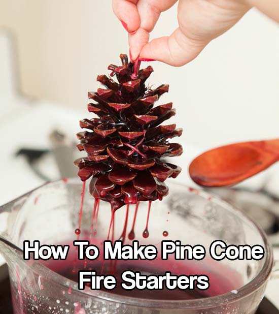 How To Make Pine Cone Fire Starters - This DIY project is creative and practically free. These dipped pinecones are so easy that this can be a really fun project with your kids, too!