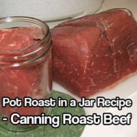 Pot Roast in a Jar Recipe: Canning Roast Beef - Beef has a lot of protein and energy, this is not only fun but a great reserve to have at home just in case! The pot roast actually tastes better than regularly cooked beef, I am not sure if it’s because all of the juices can sit in the meat until you eat it.