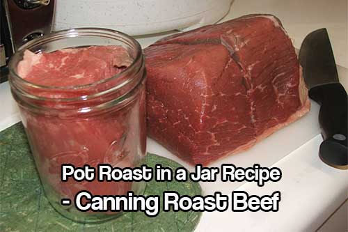 Pot Roast in a Jar Recipe: Canning Roast Beef - Beef has a lot of protein and energy, this is not only fun but a great reserve to have at home just in case! The pot roast actually tastes better than regularly cooked beef, I am not sure if it’s because all of the juices can sit in the meat until you eat it.