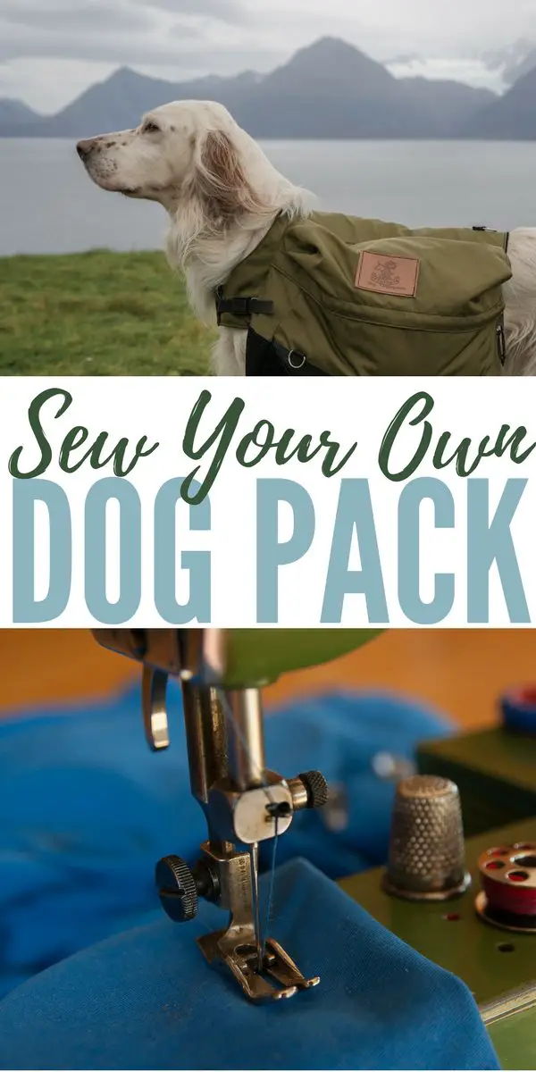 Sew Your Own Dog Pack
