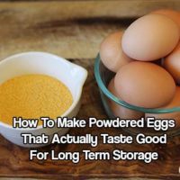 How To Make Powdered Eggs That Actually Taste Good For Long Term Storage - Learn how to safely and economically make powdered eggs that last up to 10 years in storage and that actually taste really good!