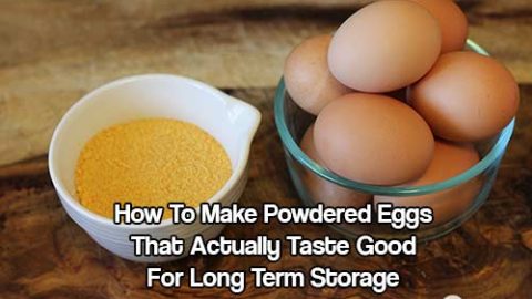 How To Make Powdered Eggs That Actually Taste Good For Long Term Storage