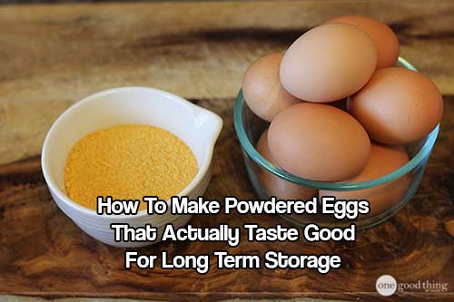 How To Make Powdered Eggs That Actually Taste Good 1 How To Make Powdered Eggs That Actually Taste Good For Long Term Storage - Learn how to safely and economically make powdered eggs that last up to 10 years in storage and that actually taste really good!