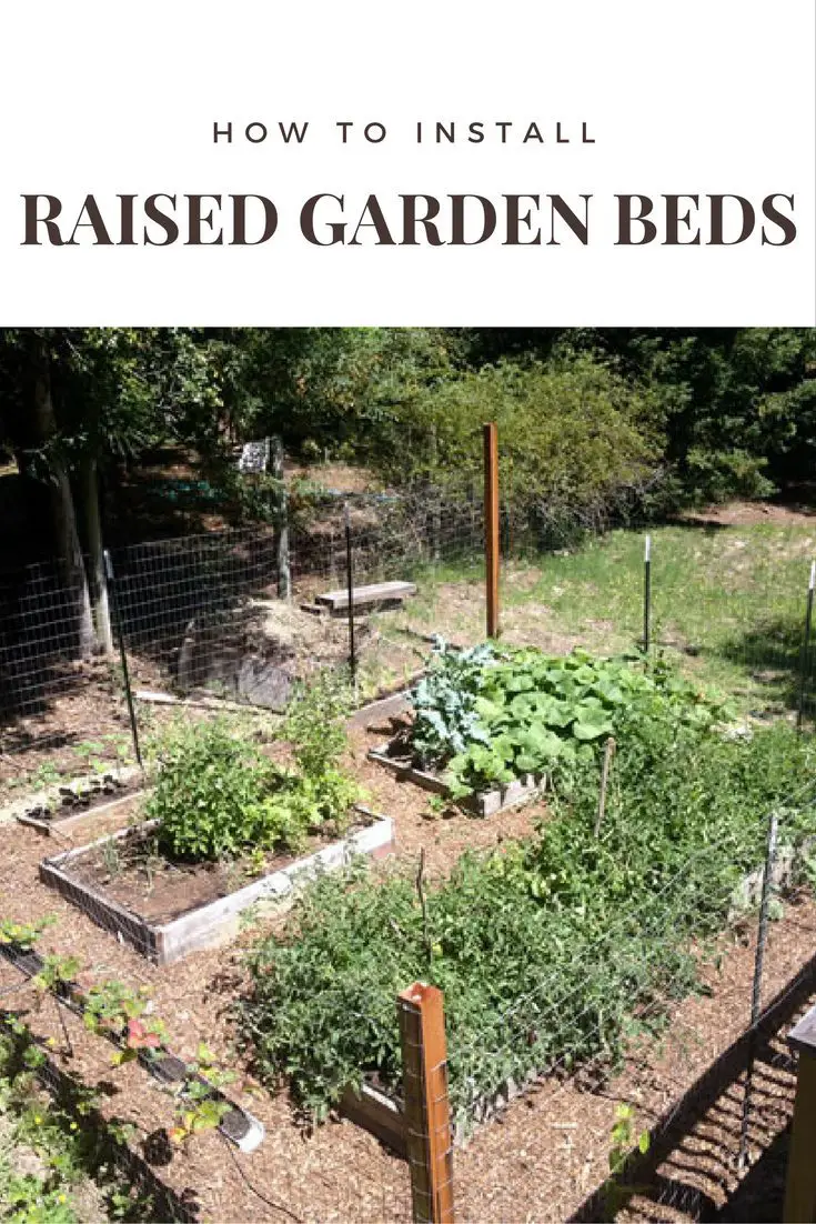 How to Install Raised Garden Beds SHTF Prepping & Homesteading Central