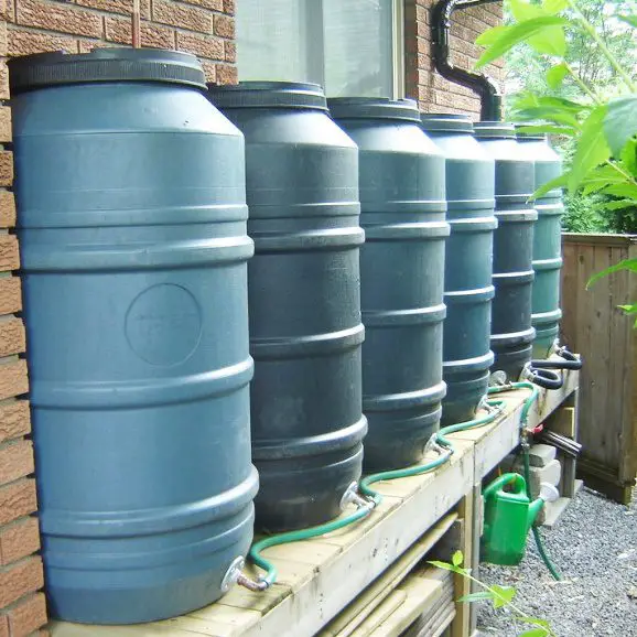 100YearOld Way to Filter Rainwater in a Barrel
