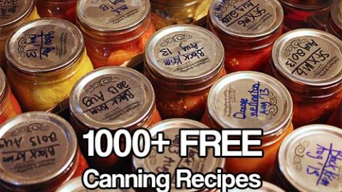 1000+ FREE Canning Recipes