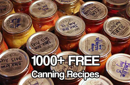 1000+ FREE Canning Recipes - Are you just starting to can? Are you a seasoned canner? We all could do with more canning recipes, the site I came across has over 1000 recipes for you to browse and download for free. There are recipes for sauces, jellies, healthy food and even puddings.