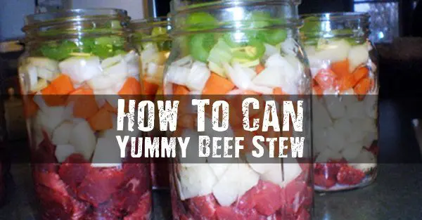 How To Can Yummy Beef Stew - Beef stew is packed with protein and carbohydrates that will fuel your body in times of joy and times of SHTF. This is a great recipe and set of instructions that show you how to make this meal in a jar.