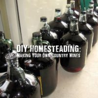 DIY Homesteading: Making Your Own Country Wines - Learn how to make Rose Petal Wine and Strawberry Wine in the article below. Both are delicious and contain a fair amount of alcohol. This would be a very delicious treat or a great bartering item if SHTF. Super easy and cheap to do :)