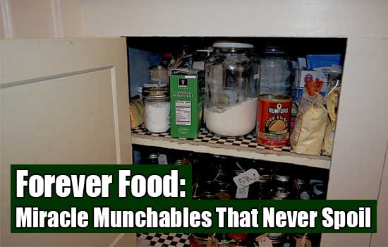 Forever Food: Miracle Munchables That Never Spoil - A lot of people don’t realize is that a handful of foods/sauces actually boast a shelf life of forever. Do you know of any others we can add to the list?