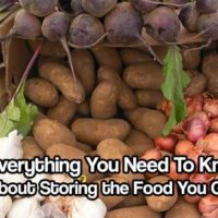 Everything You Need to Know About Storing the Food You Grew