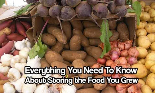 Everything You Need to Know About Storing the Food You Grew