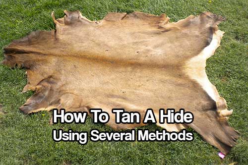 How To Tan A Hide Using Several Methods - Knowing how to tan a hide is a very important skill to know. If SHTF, there will be no new sheets, no new blankets being made or imported in. It will be up to us to stay warm.