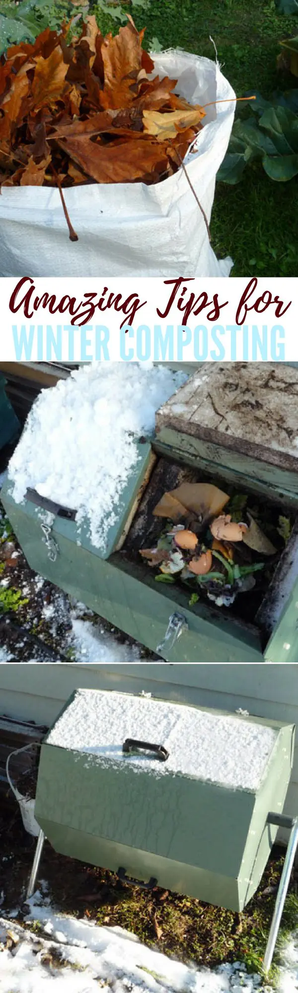 Tips for Winter Composting