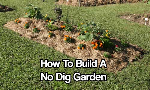 How To Build a No Dig Garden - SHTF Prepping & Homesteading Central