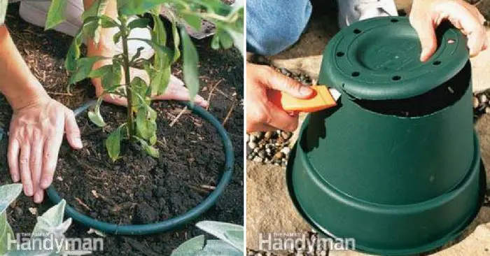 How To Stop Invasive Plants From Taking Over Your Garden — If you love lilies and black-eyed Susans, but hate the way they're taking over your garden and choking out other plants, here's what you can do: Many plants multiply by dropping seeds and by sending out roots that establish new plants.
