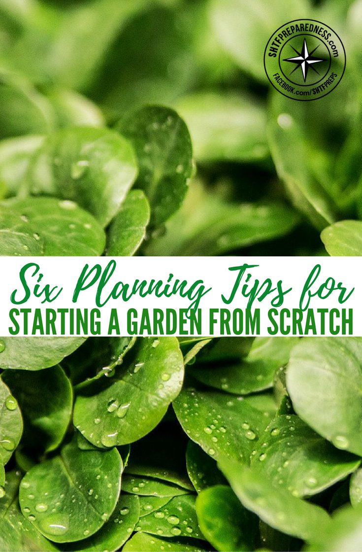 Six Planning Tips For Starting A Garden From Scratch