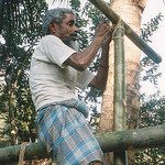 bamboo hut