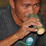 Bamboo Cup