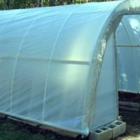 How to Build a 50 Dollar Greenhouse — See how to build this fantastic greenhouse for around 50 bucks or less if you can use your head!