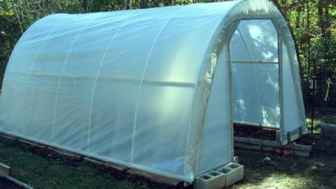 How to Build a 50 Dollar Greenhouse