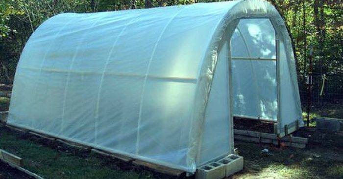 See how to build this fantastic greenhouse for around 50 bucks or less if you can use your head!