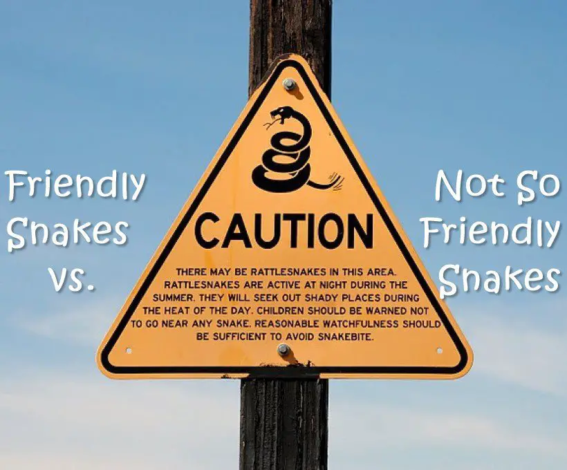 Friendly Snakes Vs. Not So Friendly Snakes SHTFPreparedness