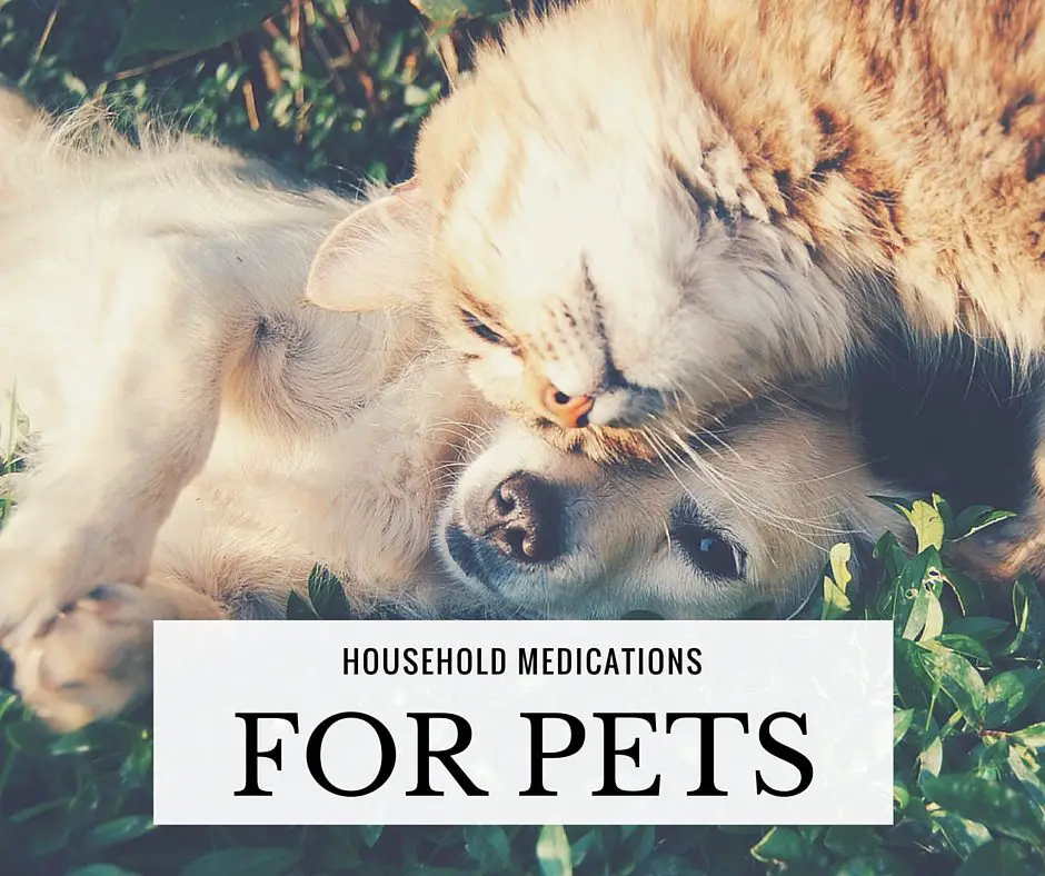 Household Medications For Pets Chart