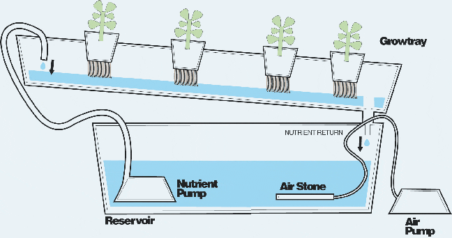 Soilless Homestead Gardening Using Hydroponics - SHTF ...