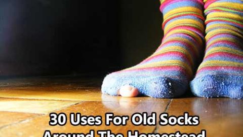 30 Uses For Old Socks