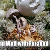 Eating Well with Foraged Food - The following are some great recipes that are easy to put together with foraged foods. Yes, eventually dandelion jelly might feel like a luxury, but trust me – it’s a luxury that’s worth the effort. :)