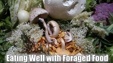 Eating Well with Foraged Food
