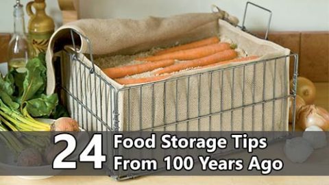 24 Food Storage Tips From 100 Years Ago