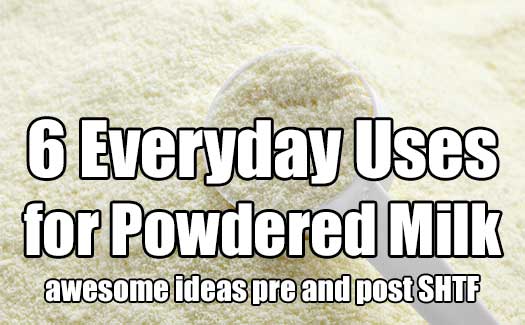 6 Everyday Uses for Powdered Milk