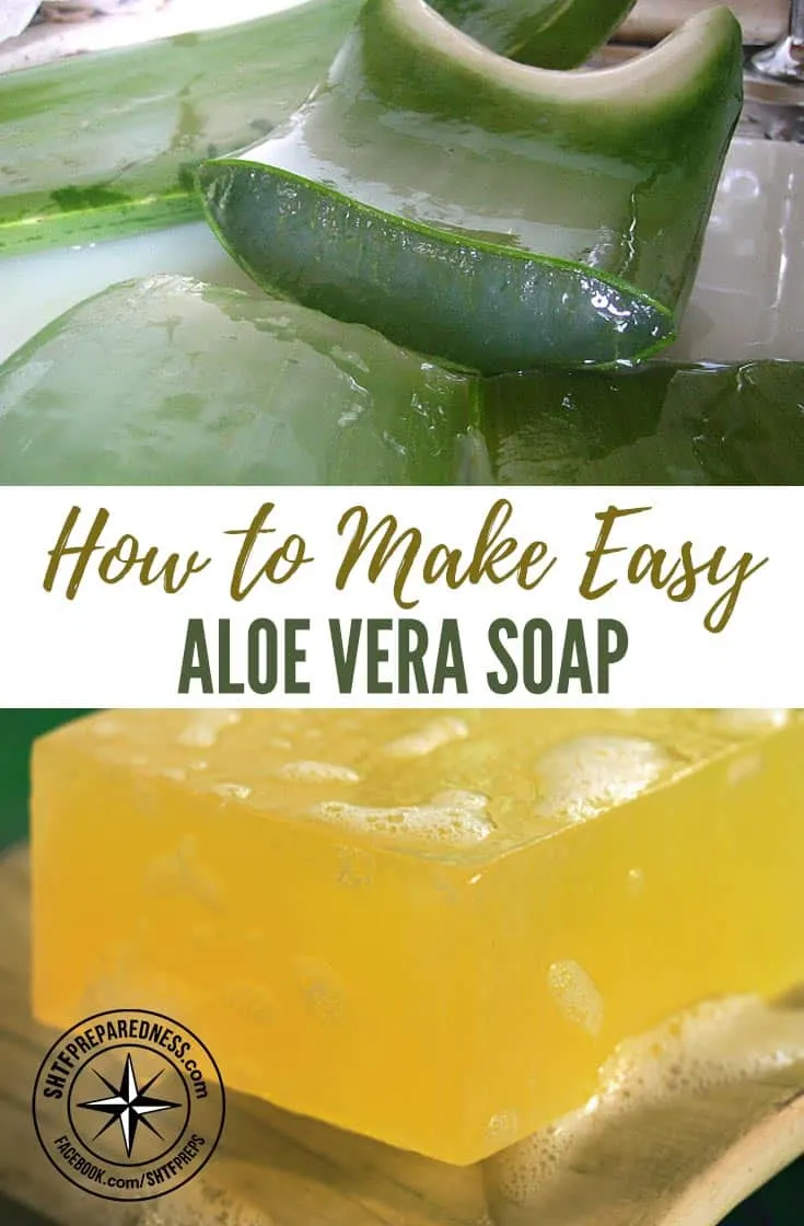 How to Make Easy Aloe Vera Soap — The gel of this plant has many amazing benefits. It is especially fantastic for your skin. It soothes your sunburns, heals your wounds, improves infections, acne, yeast, eczema, and other skin irritations.