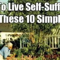 How To Live Self-Sufficient With These 10 Simple Tips — Have you ever wondered about what it would be like if you lived out on a farm where your neighbor was a mile away and you owned at least an acre, rather than in the middle of a bustling city with a department store just a few minutes away?