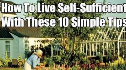 Live a Self-Sufficient Life With These 10 Simple Tips