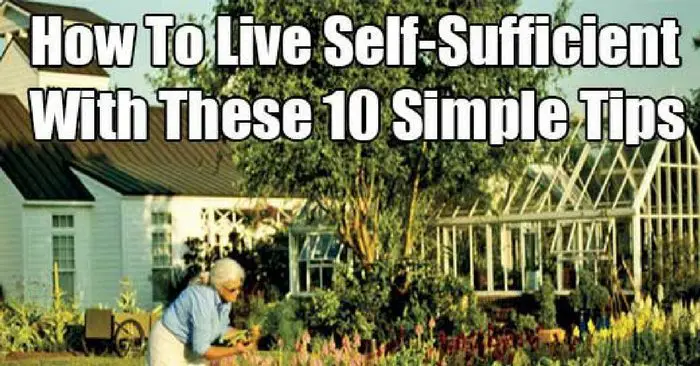 How To Live Self-Sufficient With These 10 Simple Tips — Have you ever wondered about what it would be like if you lived out on a farm where your neighbor was a mile away and you owned at least an acre, rather than in the middle of a bustling city with a department store just a few minutes away?