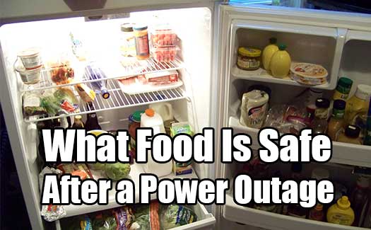 How Long Can Food Last In A Fridge Without Power How Long Can Food Last In A Fridge Without Power
