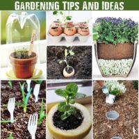 20 insanely clever gardening tips and ideas that could give even pro gardeners much needed help this spring.
